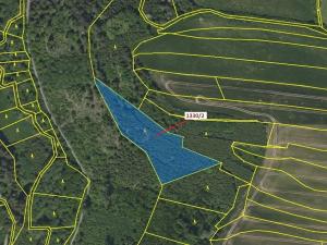 Dražba lesa, Čestín, 7932 m2