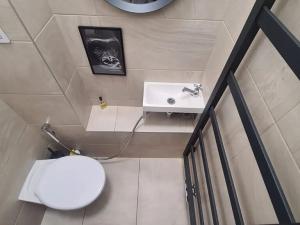 Pronájem bytu 2+1, Praha - Nové Město, Na výtoni, 85 m2