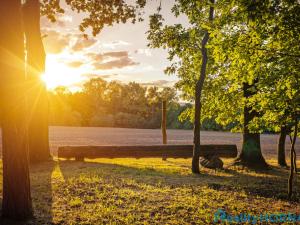 Prodej komerčního pozemku, Katovice, 17169 m2