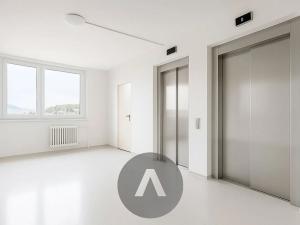 Prodej bytu 2+1, Brno, Luční, 57 m2