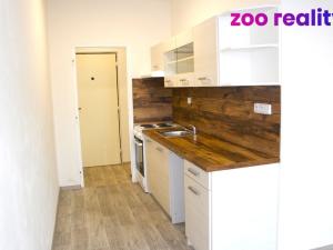 Pronájem bytu 1+1, Litoměřice, Družstevní, 40 m2