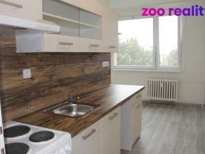 Pronájem bytu 1+1, Litoměřice, Družstevní, 40 m2