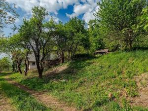 Prodej pozemku pro bydlení, Veliny, 3712 m2