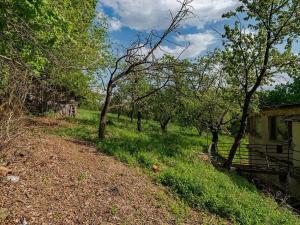 Prodej pozemku pro bydlení, Veliny, 3712 m2