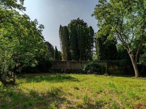 Prodej pozemku pro bydlení, Choceň, Tocháčkův kopec, 1926 m2