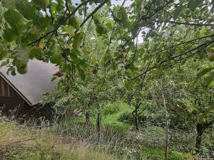 Prodej pozemku pro bydlení, Vysoké Mýto, Vinice, 1447 m2