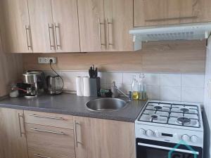 Pronájem bytu 2+1, Krnov - Pod Bezručovým vrchem, Rooseveltova, 54 m2