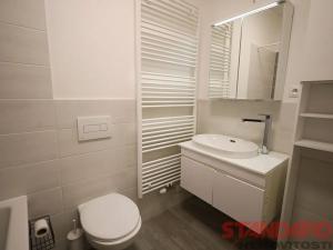 Pronájem bytu 2+kk, Zbůch, U Trati, 56 m2