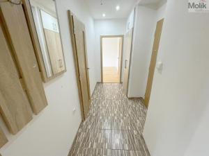 Pronájem bytu 2+1, Most, Petra Jilemnického, 55 m2