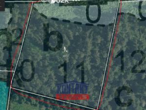 Prodej lesa, Budětice - Vlkonice, 32746 m2