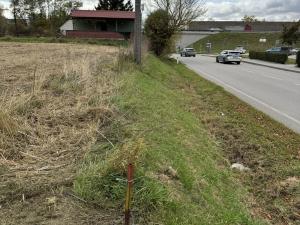 Prodej komerčního pozemku, Hustopeče, 2813 m2