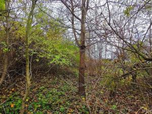 Prodej rodinného domu, Uhřice, 60 m2