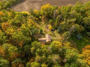 Prodej pozemku pro bydlení, Nové Dvory - Krámy, 3271 m2