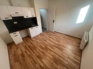 Pronájem bytu 1+kk, Praha - Břevnov, Na břevnovské pláni, 17 m2