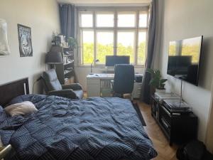 Pronájem bytu 3+1, Praha, Vinohradská, 110 m2