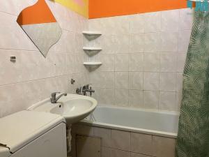 Pronájem bytu 1+kk, Olomouc, Voskovcova, 32 m2