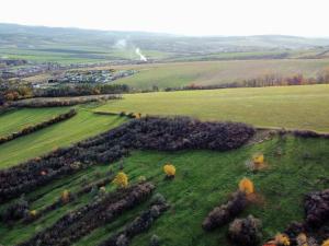 Prodej zahrady, Újezdec, 1891 m2