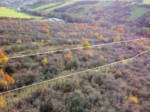 Prodej zahrady, Újezdec, 1891 m2