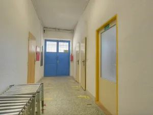 Prodej obchodního prostoru, Studenec, 265 m2