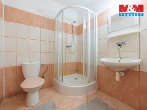 Prodej ubytování, Františkovy Lázně - Horní Lomany, Družstevní, 618 m2