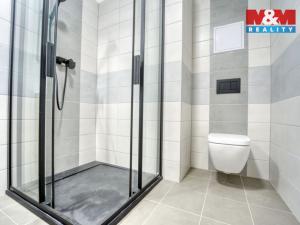 Pronájem bytu 2+kk, Plzeň - Újezd, Rubínová, 56 m2