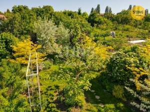 Pronájem rodinného domu, Mikulov, Bezručova, 204 m2