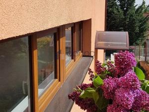 Pronájem bytu 2+1, Praha, Hejtmanská, 54 m2