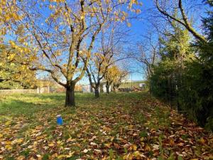 Prodej pozemku pro bydlení, Otice, Rybníčky, 1049 m2