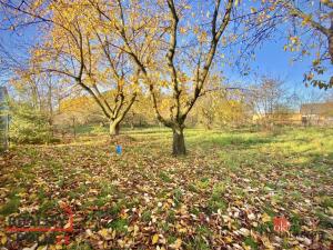 Prodej pozemku pro bydlení, Otice, Rybníčky, 1049 m2