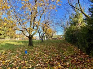 Prodej pozemku pro bydlení, Otice, Rybníčky, 1049 m2