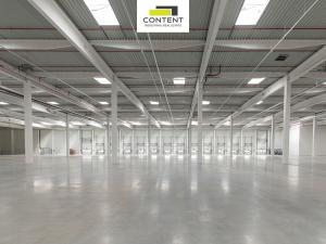 Pronájem výrobních prostor, Ostrava - Vítkovice, 10275 m2