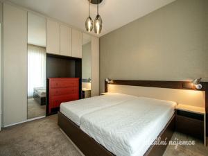 Pronájem bytu 2+kk, Praha - Žižkov, Hartigova, 58 m2