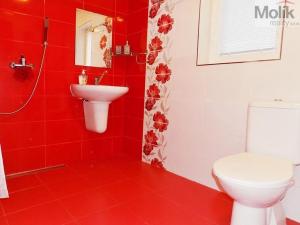 Prodej rodinného domu, Lobendava, 325 m2