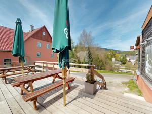 Pronájem ubytování, Loučná pod Klínovcem - Loučná, 229 m2