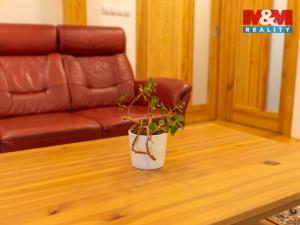 Pronájem rodinného domu, Petrovice, 200 m2