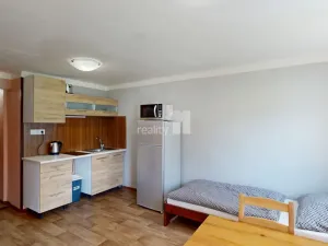 Pronájem ubytování, Loučná pod Klínovcem - Loučná, 370 m2