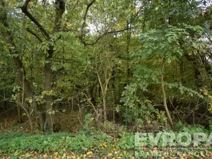 Prodej chalupy, Samopše - Mrchojedy, 71 m2