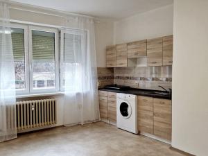 Pronájem bytu 1+kk, Havířov - Podlesí, Kosmonautů, 25 m2