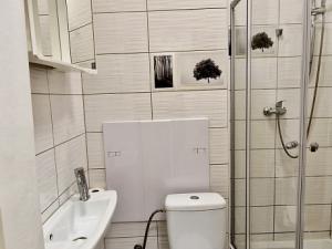 Pronájem bytu 1+kk, Havířov - Podlesí, Kosmonautů, 25 m2