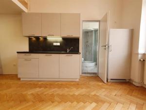 Pronájem bytu 1+kk, Praha, Svobodova, 30 m2