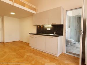 Pronájem bytu 1+kk, Praha, Svobodova, 30 m2