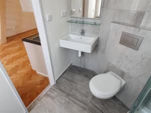 Pronájem bytu 1+kk, Praha, Svobodova, 30 m2