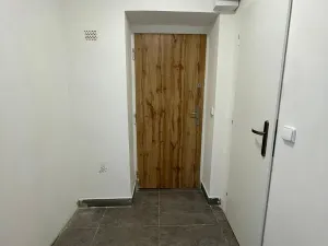 Pronájem bytu 1+1, Litvínov, Horská, 42 m2