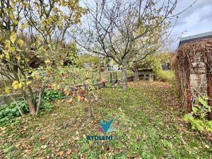 Prodej zahrady, Babisnau, Německo, 400 m2