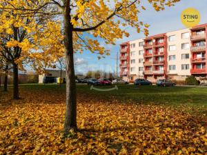 Prodej bytu 3+1, Ivančice, Polní, 53 m2