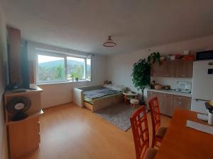 Pronájem bytu 1+kk, Tišnov, Klášterská, 30 m2