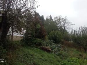 Prodej rodinného domu, Kunčice pod Ondřejníkem, 171 m2