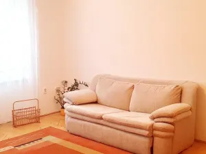 Pronájem bytu 1+1, Brno - Veveří, Úvoz, 38 m2