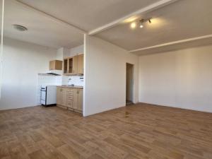 Pronájem bytu 1+1, Most, Javorová, 35 m2