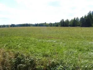 Dražba pole, Rožmitál pod Třemšínem, 10000 m2